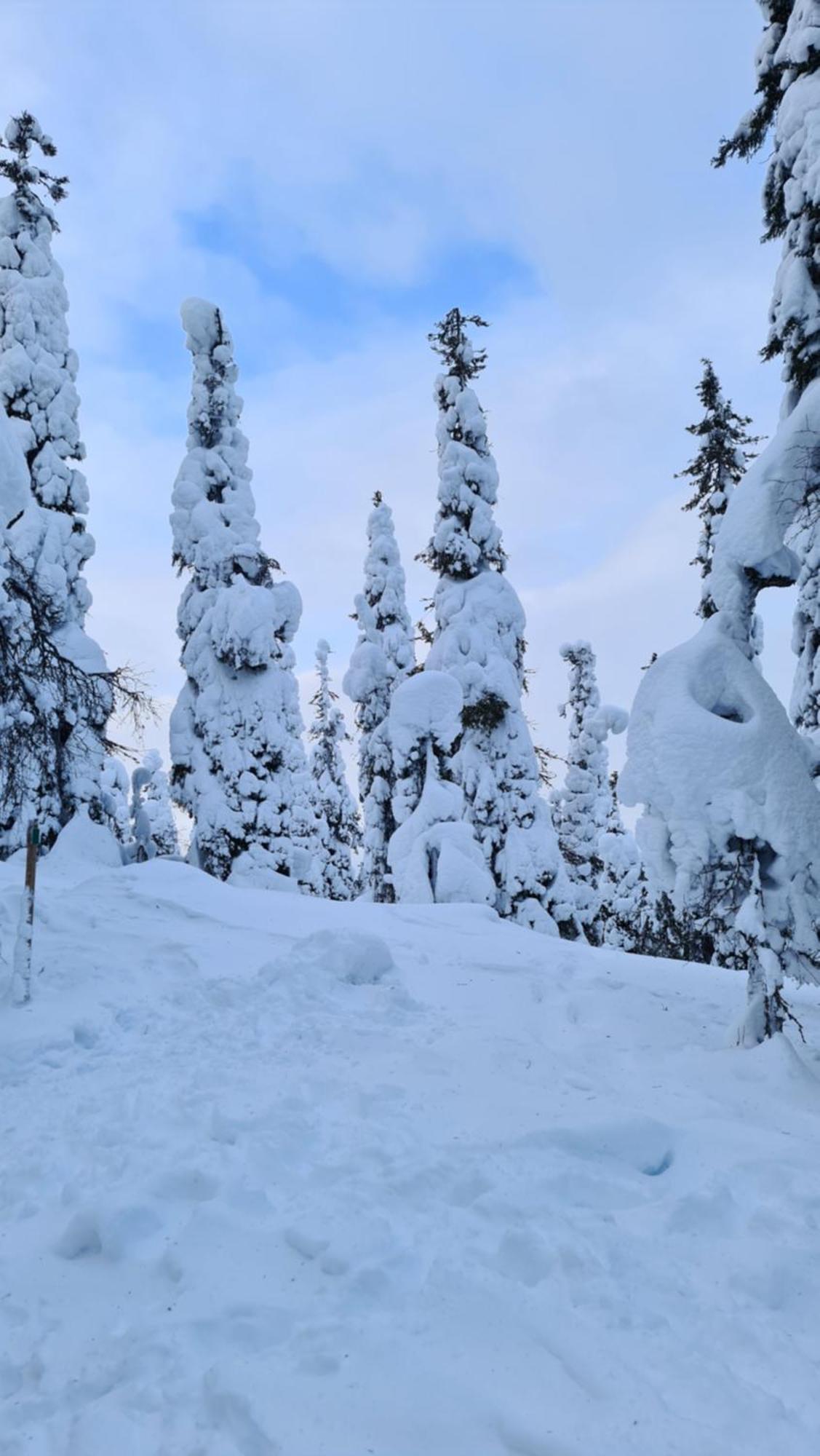 Huoneisto Lux Lapland Cranberry Center 61m2 Ski-in Ski-out 2 Bedr & 2 Bathr